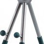 Remax RM-C58 Desk Stand for Mobile in Green color